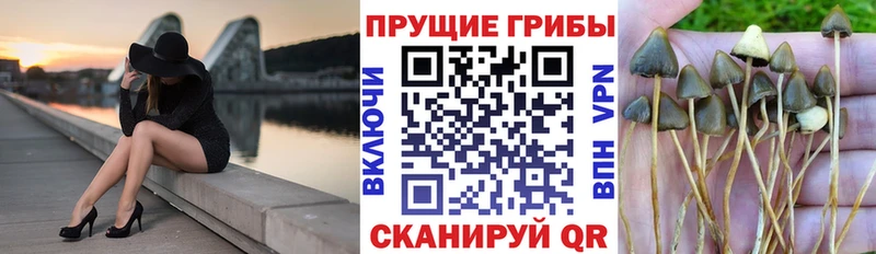 МЕГА вход  Зея  Галлюциногенные грибы Psilocybe 